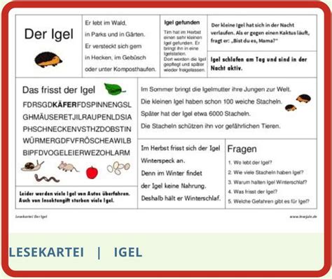 Lesekartei Igel Lesen Arbeitsbl Tter Igel Lesen Lernen