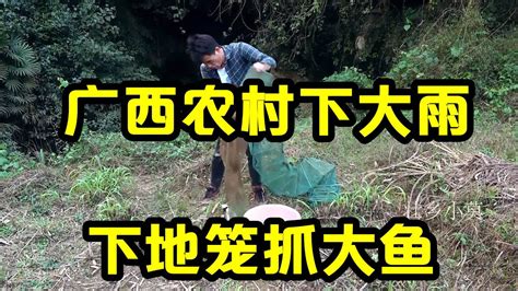 广西农村下大雨，小莫带着诱饵去深山天池下地笼，收获颇丰【壮乡小莫】 Youtube