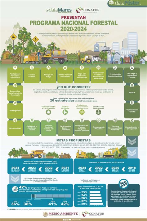 Programas Y Apoyos Sistema Nacional De Informaci N Forestal