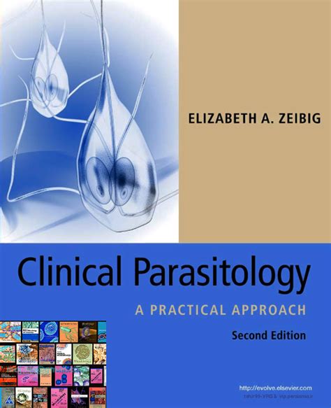 SOLUTION Clinical Parasitology A Practical Studypool