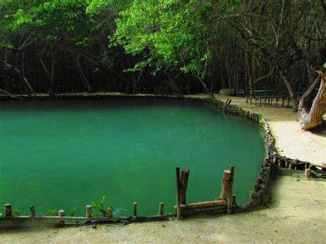 Reserva Ecol Gica El Corchito