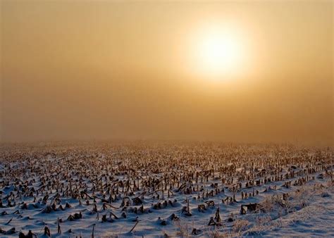 Agricultural Photography on Behance