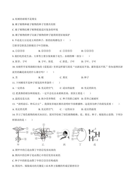 山东省聊城市东阿县第三中学2023 2024学年七年级上学期期末生物试题（含答案） 21世纪教育网