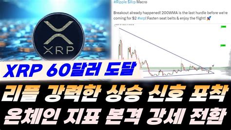 Xrp 60달러 도달 리플 100배 강력한 상승 신호 포착 온체인 지표 본격 강세 전환 비트코인 이더리움 Youtube