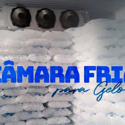 C Mara Fria Para Gelo Multifrio Refrigera O