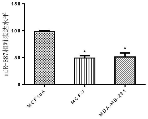 Application Of Mir In Breast Cancer Diagnosis And Treatment