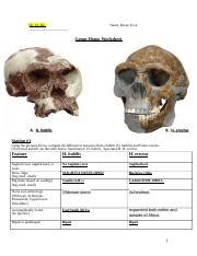 Ch 15 16 Genus Homo ONLINE Docx Ch 15 16 Name Bryan Yoon Genus Homo