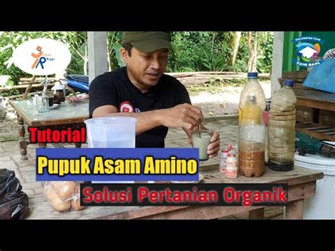 Cara Mudah Membuat Asam Amino Solusi Budidaya Organik YouTube