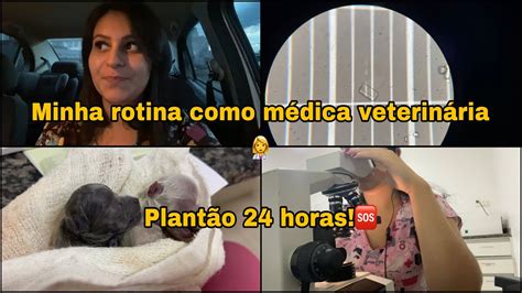 Rotina De M Dica Veterin Ria Medvet Medicina Veterinaria Animais