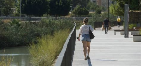 El detenido por varias agresiones sexuales en la mota del río de Murcia