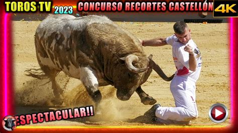 CONCURSO NACIONAL RECORTES CASTELLON 2 2023 Toros Hoy