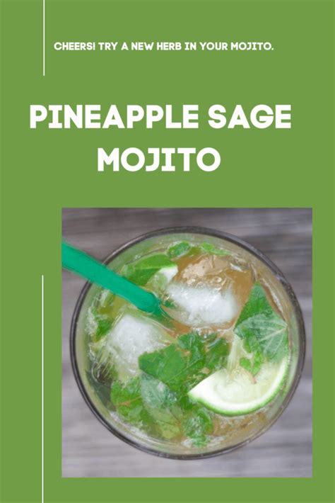 Pineapple Sage Mojito Erin Brighton