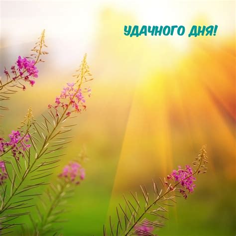 Картинка - Удачного Дня!.