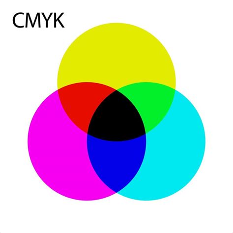 Cmyk Colored Graph Infographic Vector Illustration Color Graphic Set