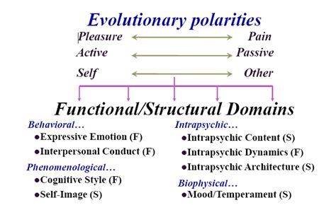 Millon Theory Functional And Structural Domains