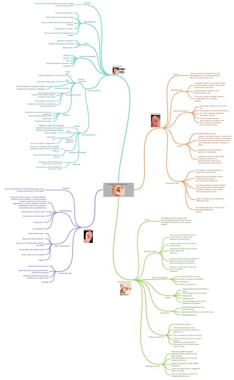 Disorders of the external ear ear-anatomy-baby - Coggle Diagram