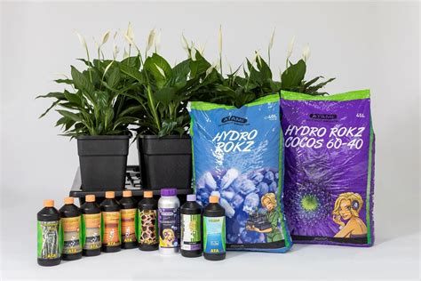 Hydroponics Demystified Increase Yields And Simplify Cultivation With