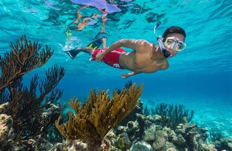 X Snorkel Adventure Boat Trips Ocean Frontiers Grand Cayman