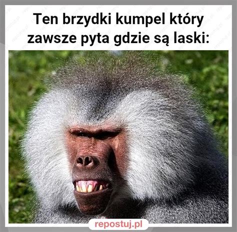 Repostuj pl Każdy ma takiego ziomka