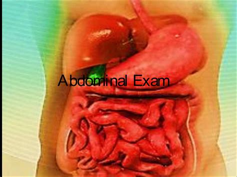 Abdominal Assessment Ppt Free Download