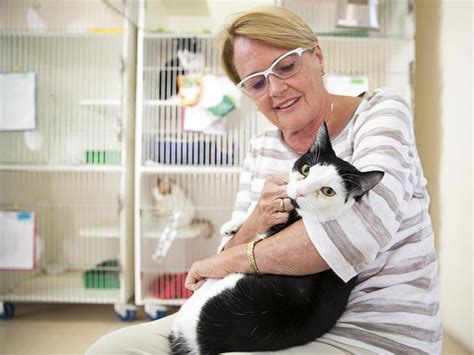 Hail Damage To Cat Protection Society Of Nsw Causes Dramatic Evacuation