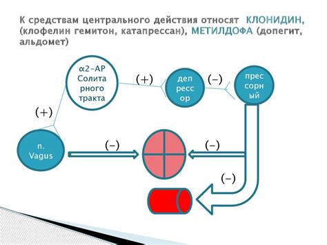 Допегит: инструкция по применению при беременности и грудном ...