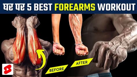 Top 5 Best Forearm Exercises At Home How Can I Get My Forearms Bigger