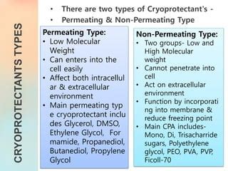 SPERM FREEZING | PPT