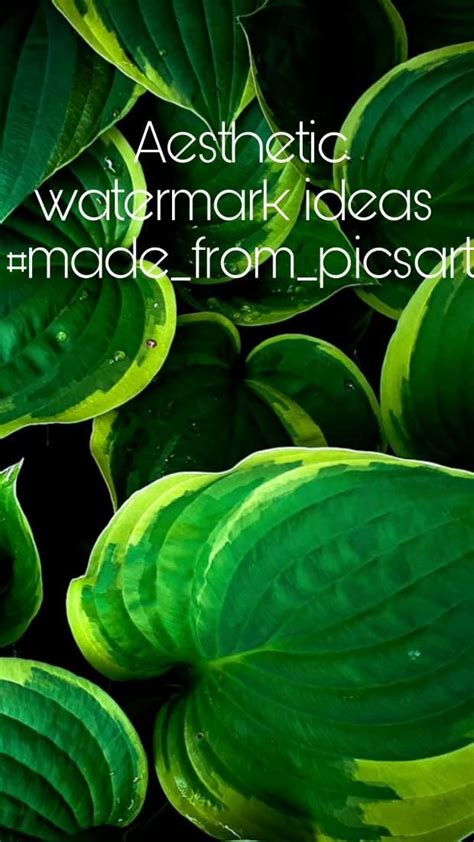 Aesthetic Watermark Ideas Watermark Ideas Photography Editing Photo