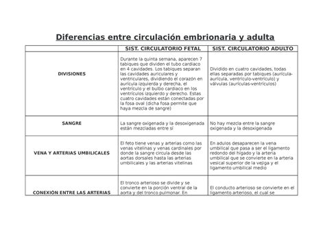 Profesor Desviarse Dif Cil De Complacer Diferencia Entre Ventriculo Y