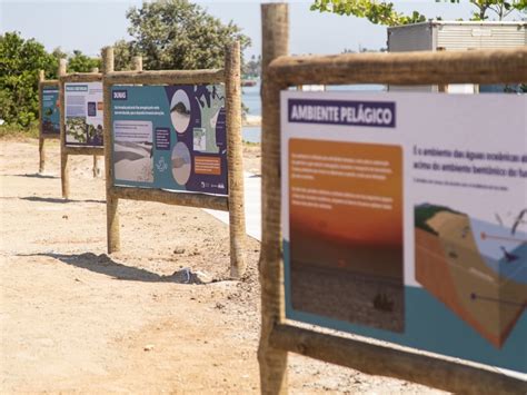 Conhe A O Conceito Das Exposi Es Fixas Do Centro De Visita O Do