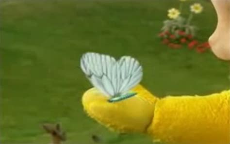 Image The Butterfly 2png Teletubbies Wiki Fandom Powered By Wikia