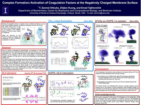 Biophysical Society Meeting 2008