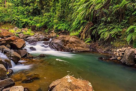 Pemandangan Sungai Yang Mengalir Di Bali Flow Attraction Bali Foto