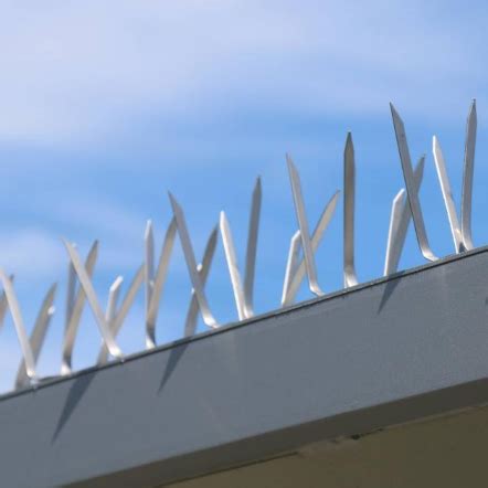 Anti Bird Deterrent Spikes