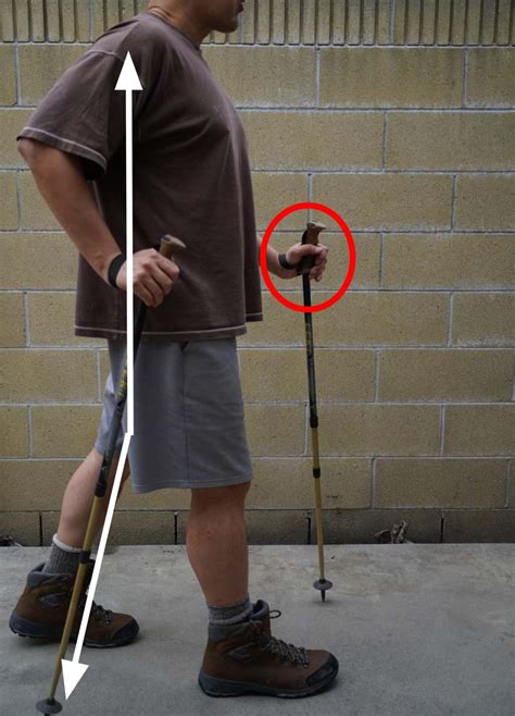 Benefits of Walking Poles - Apex Physical Therapy Honolulu