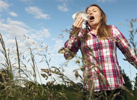 Conseils pour survivre au rhume des foins alors qu une enquête révèle à