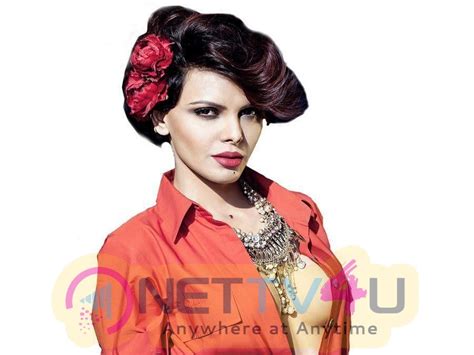 Actress Sherlyn Chopra Hot Sexy Pics Galleries HD Images