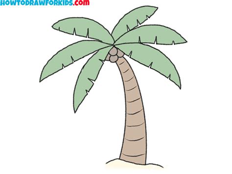 How To Draw A Palm Tree Leaves