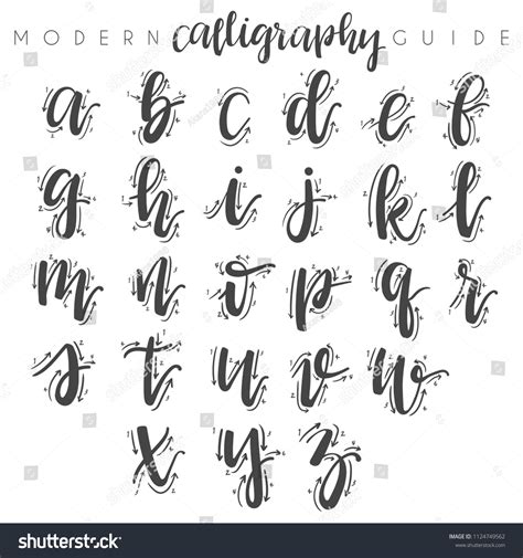 Modern Calligraphy Guide Vector Illustration Stock Vector (Royalty Free ...