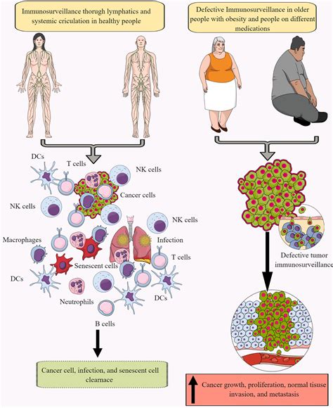 Frontiers Immunometabolic Reprogramming Another Cancer Hallmark