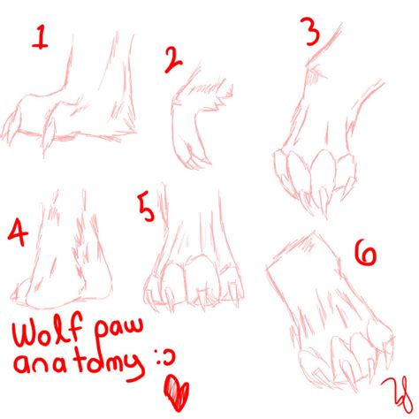 Wolf Paw Anatomy c: by FKandFriends on DeviantArt