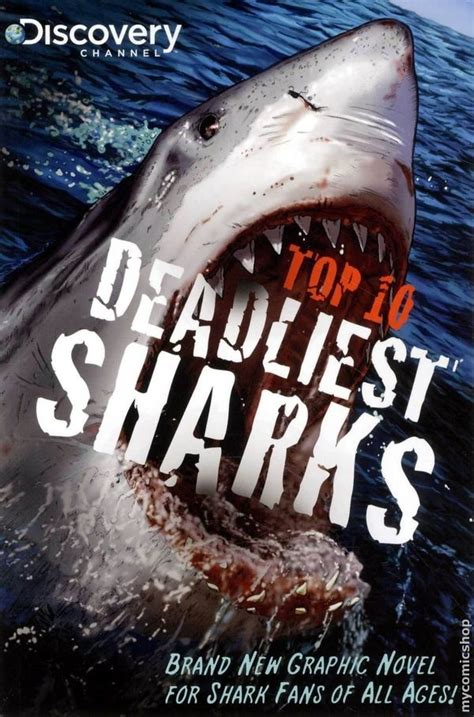 Top 10 Deadliest Sharks color by ShawnVanBriesen on DeviantArt