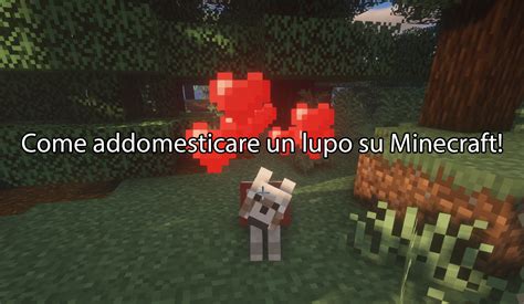 Come Addomesticare Un Lupo Su Minecraft Behindreality It Minecraft