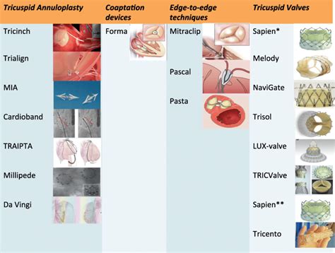 Transcatheter Tricuspid Devices Tricuspid Annuloplasty Download
