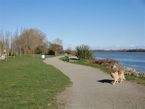 Off Leash Trails And Hikes The Dog Network