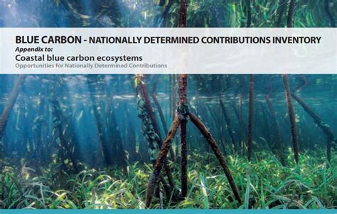 Blue Carbon Nationally Determined Contributions Inventory Appendix