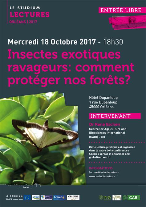 Insectes exotiques ravageurs comment protéger nos forêts LE STUDIUM