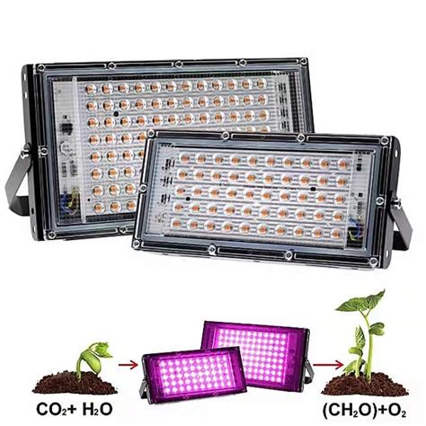 LED Grow Light AC220V 50W 100W LED Full Spectrum LED Floodlight Phyto