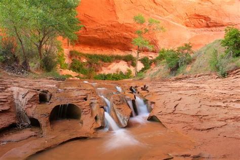 Coyote Gulch Escalante 2021 Ce Quil Faut Savoir Pour Votre Visite Tripadvisor